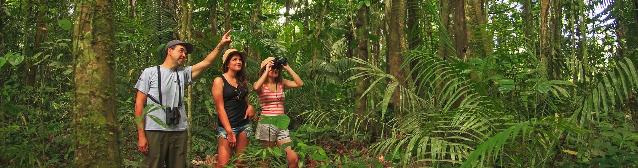 Reserva Tambopata, Puerto Maldonado  desde México