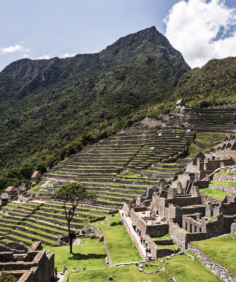 Perú desde México